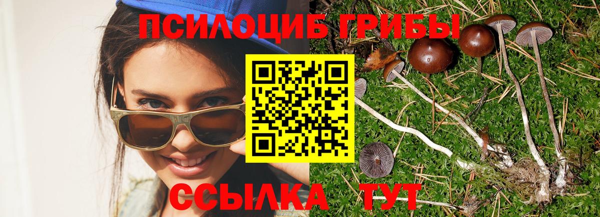 Лесозаводск  Псилоцибиновые грибы Psilocybe  Вход с VPN  Галлюциногенные грибы прущие грибы 