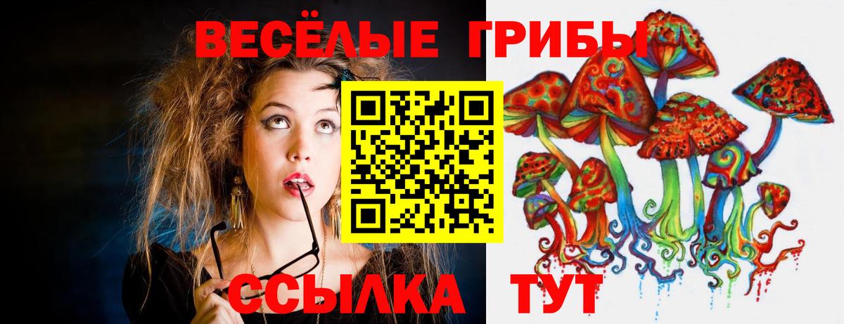 Галлюциногенные грибы MAGIC MUSHROOMS Лесозаводск